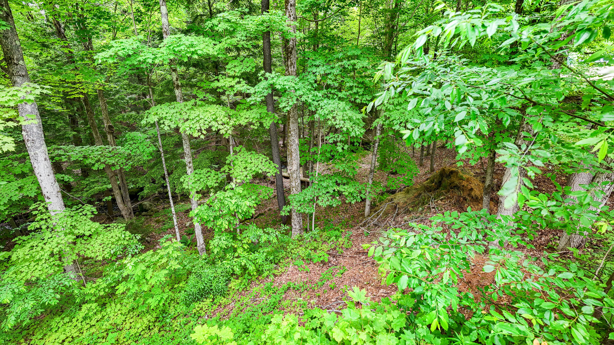 1616 Ny-30 Tupper Lake NY 12986