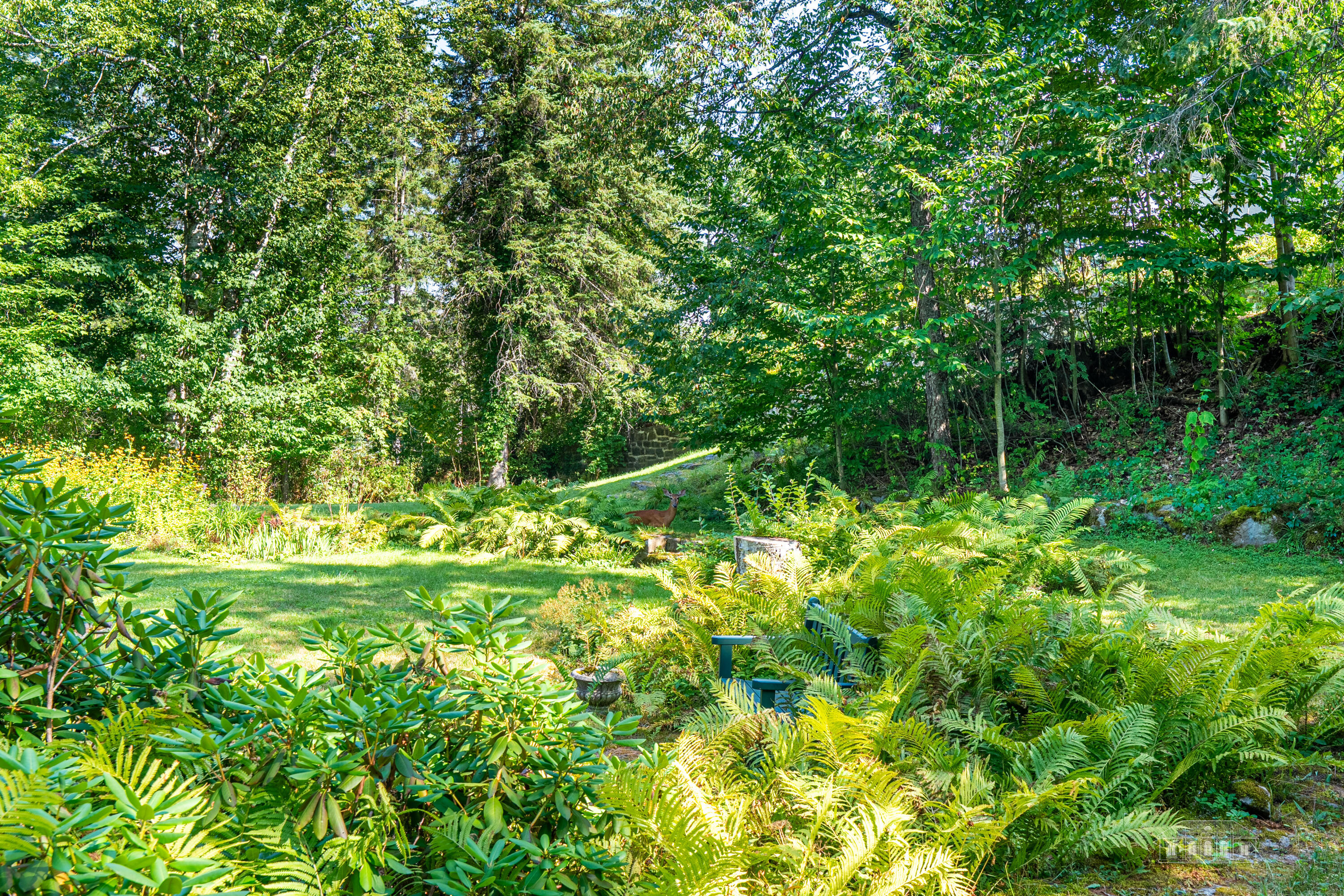 58 Interlaken Avenue Lake Placid NY 12946