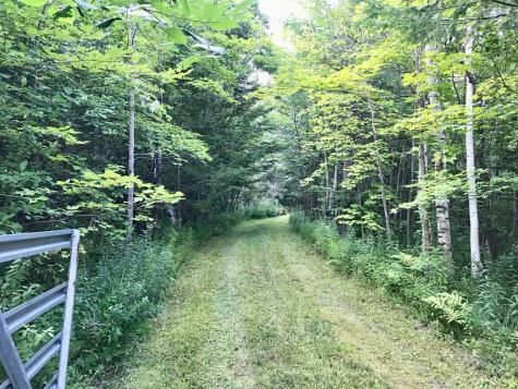 1164 True Brook Road Saranac NY 12981