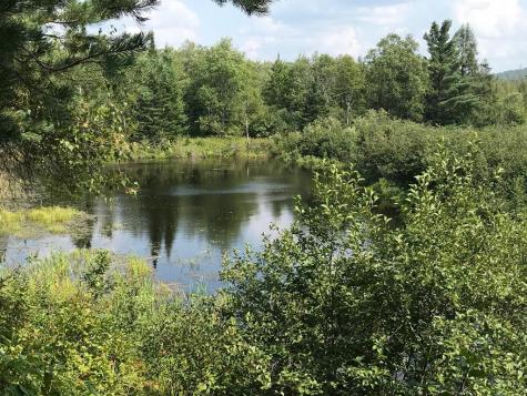 1164 True Brook Road Saranac NY 12981