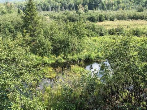 1164 True Brook Road Saranac NY 12981