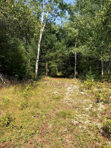 1164 True Brook Road Saranac NY 12981