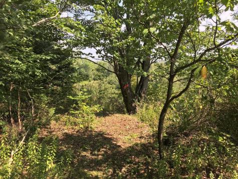 1164 True Brook Road Saranac NY 12981