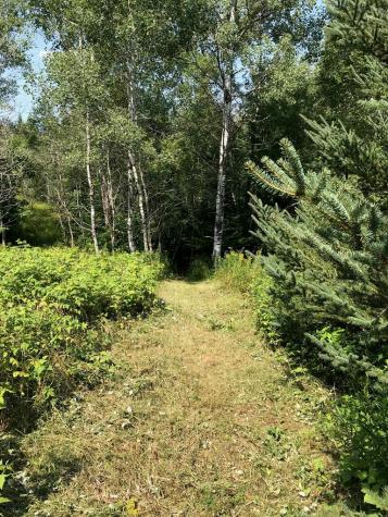 1164 True Brook Road Saranac NY 12981