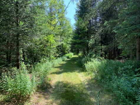 1164 True Brook Road Saranac NY 12981