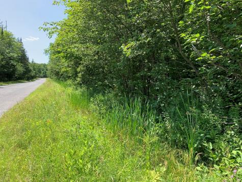 1164 True Brook Road Saranac NY 12981