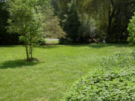 806 Nys Route 22 Westport NY 12993