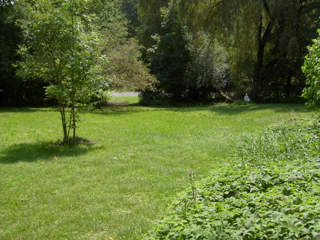 806 Nys Route 22 Westport NY 12993