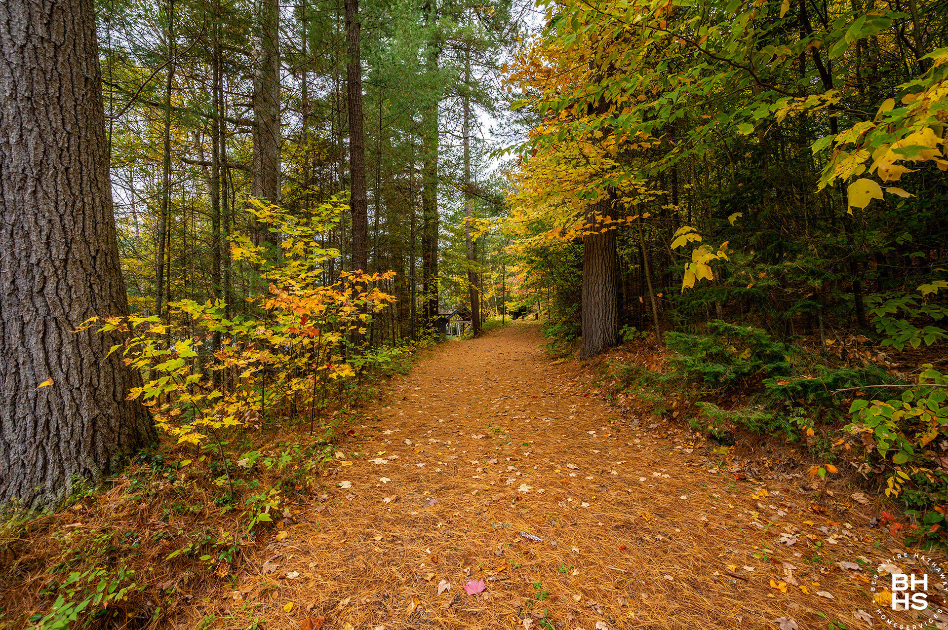 345 Meenahga Mountain Road Onchiota NY 12989