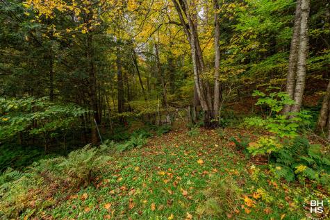 371 Keeses Mill Road Paul Smiths NY 12970