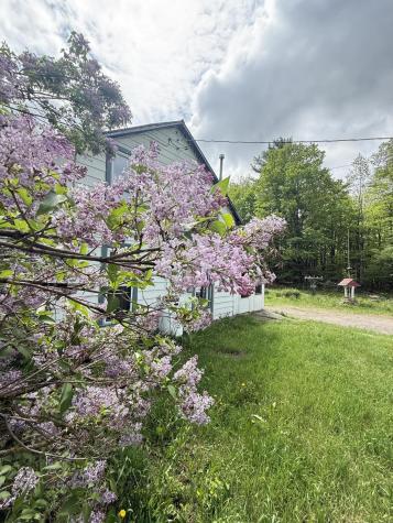 132 Blanche Road Lyon Mountain NY 12955