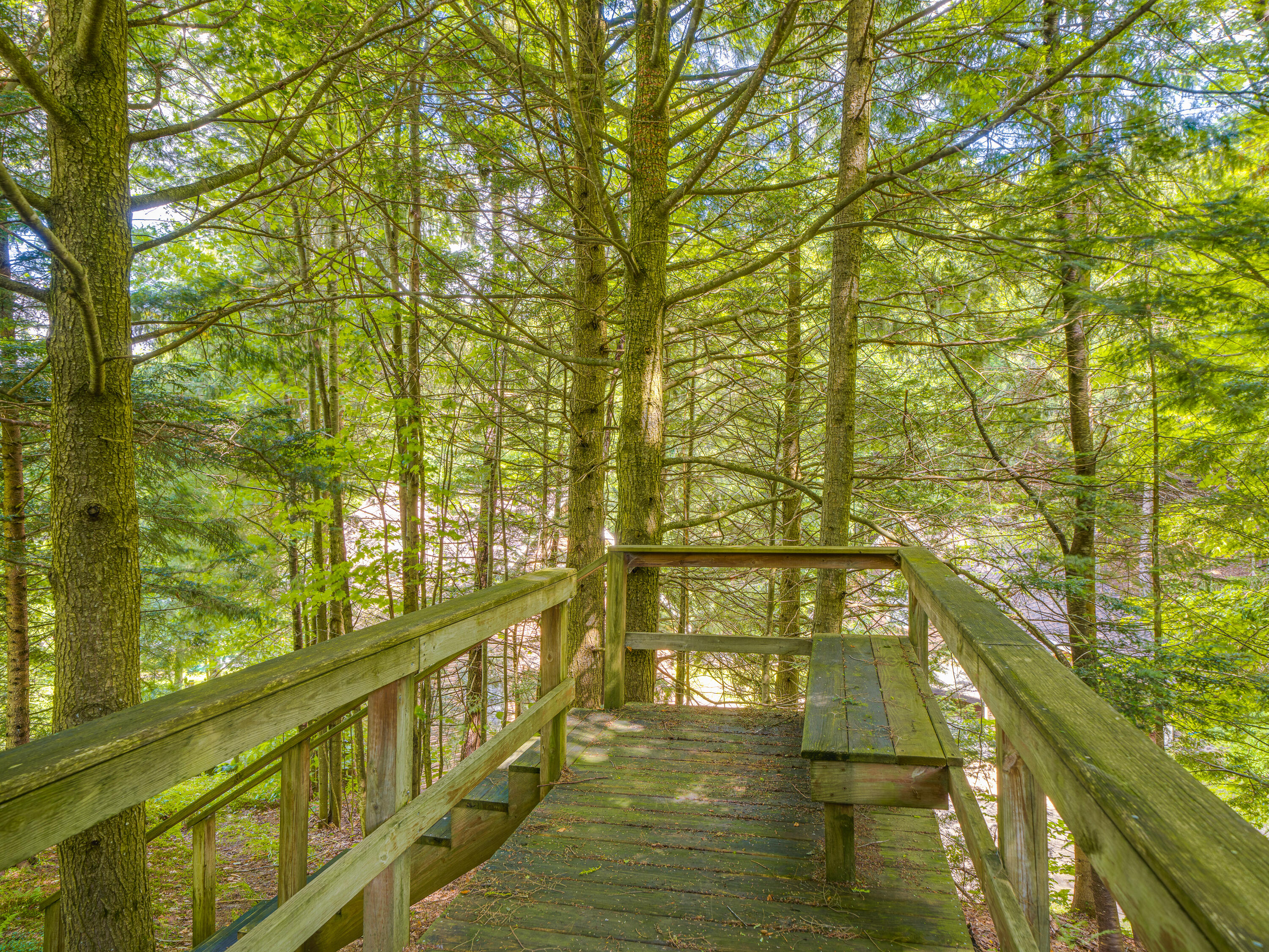 297 Lake Road Star Lake NY 13690