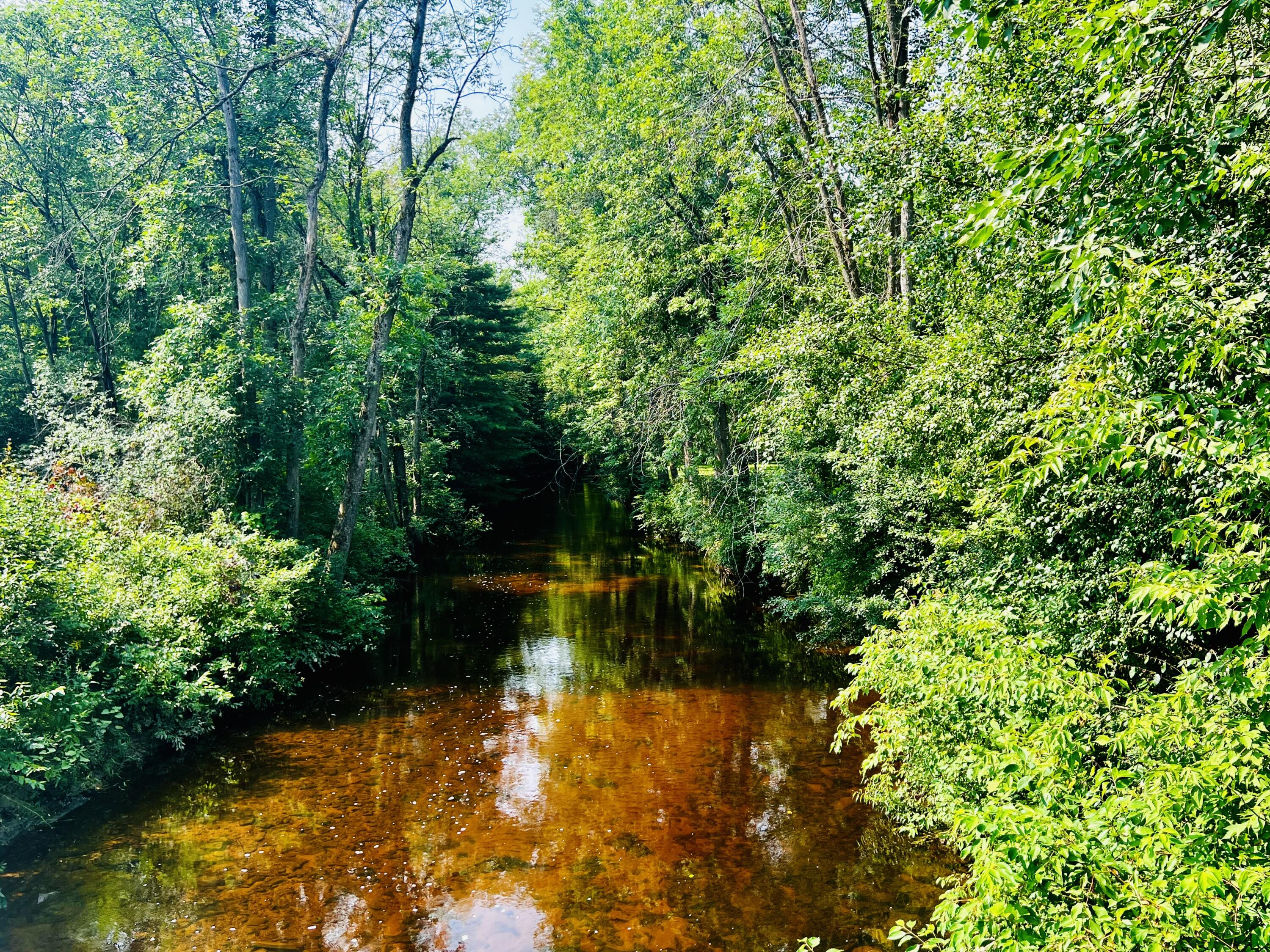 371 Fox Farm Road Plattsburgh NY 12901