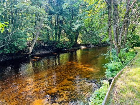 371 Fox Farm Road Plattsburgh NY 12901