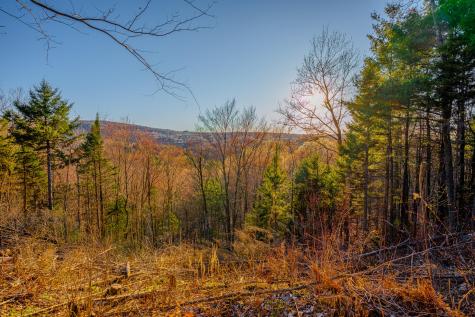 572 County Route 25 Malone NY 12953