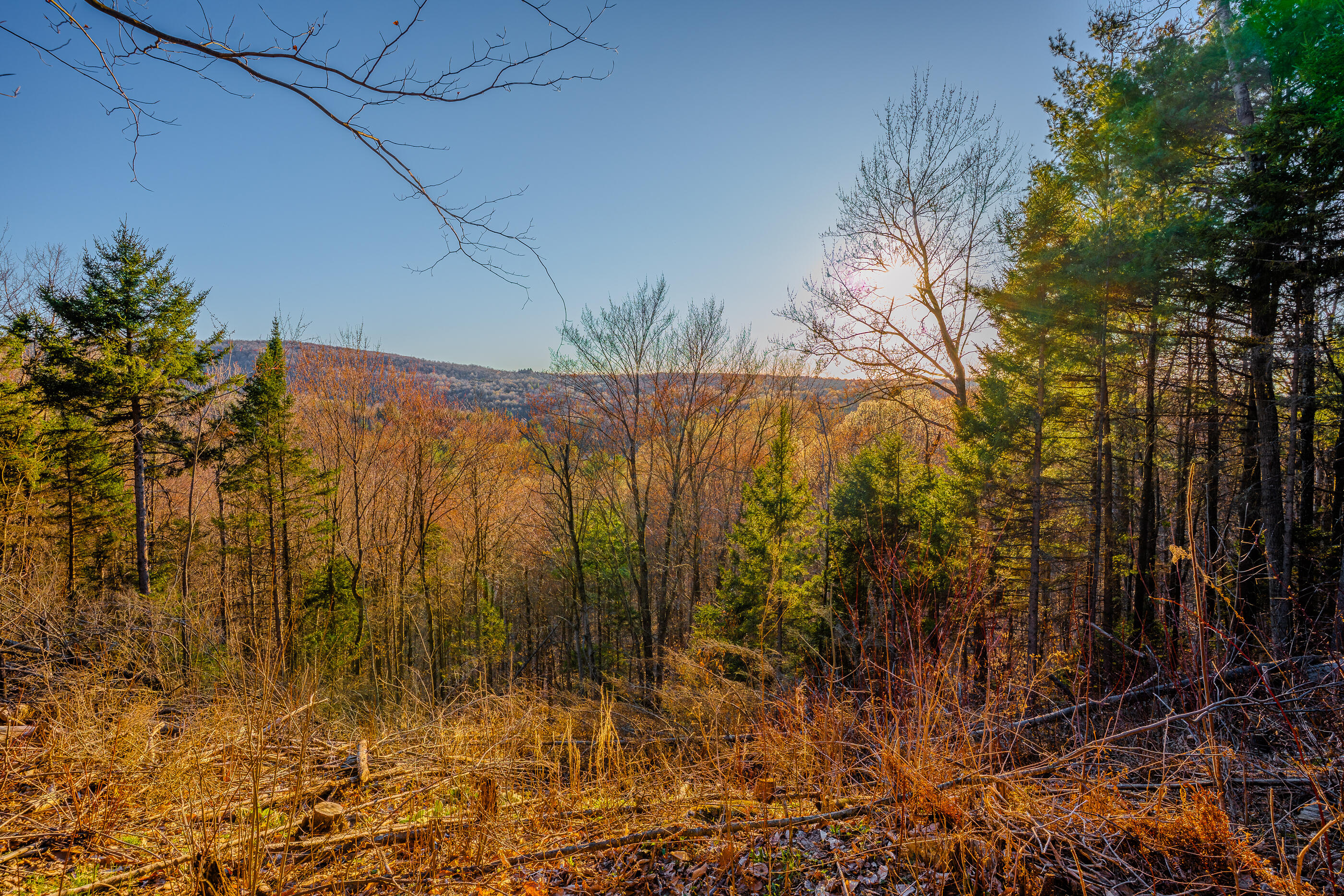 572 County Route 25 Malone NY 12953