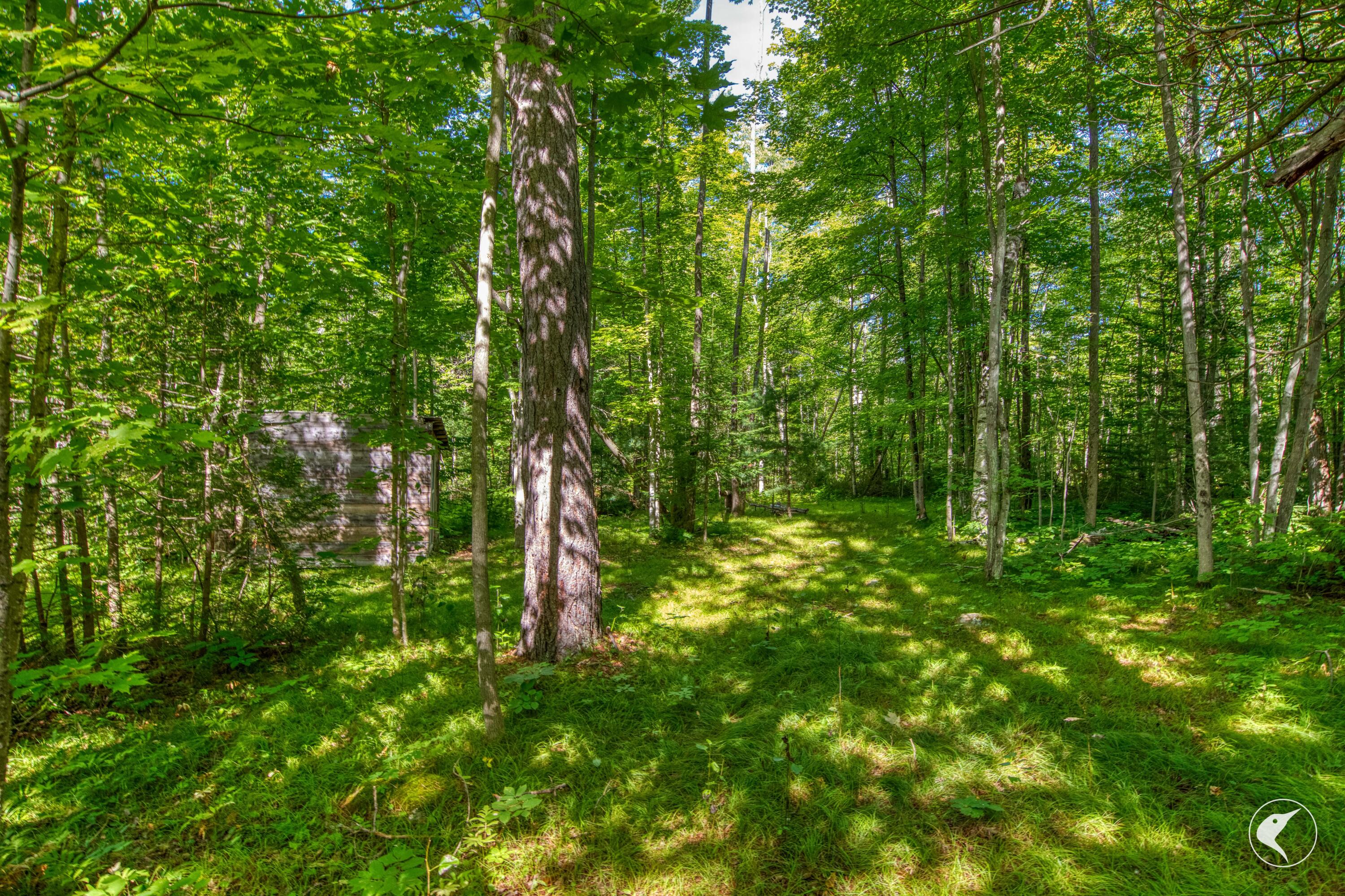 4719 Lincoln Pond Road Elizabethtown NY 12932