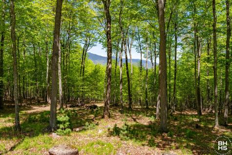 32 Corliss Point Way Keene NY 12942