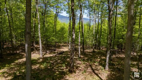 32 Corliss Point Way Keene NY 12942