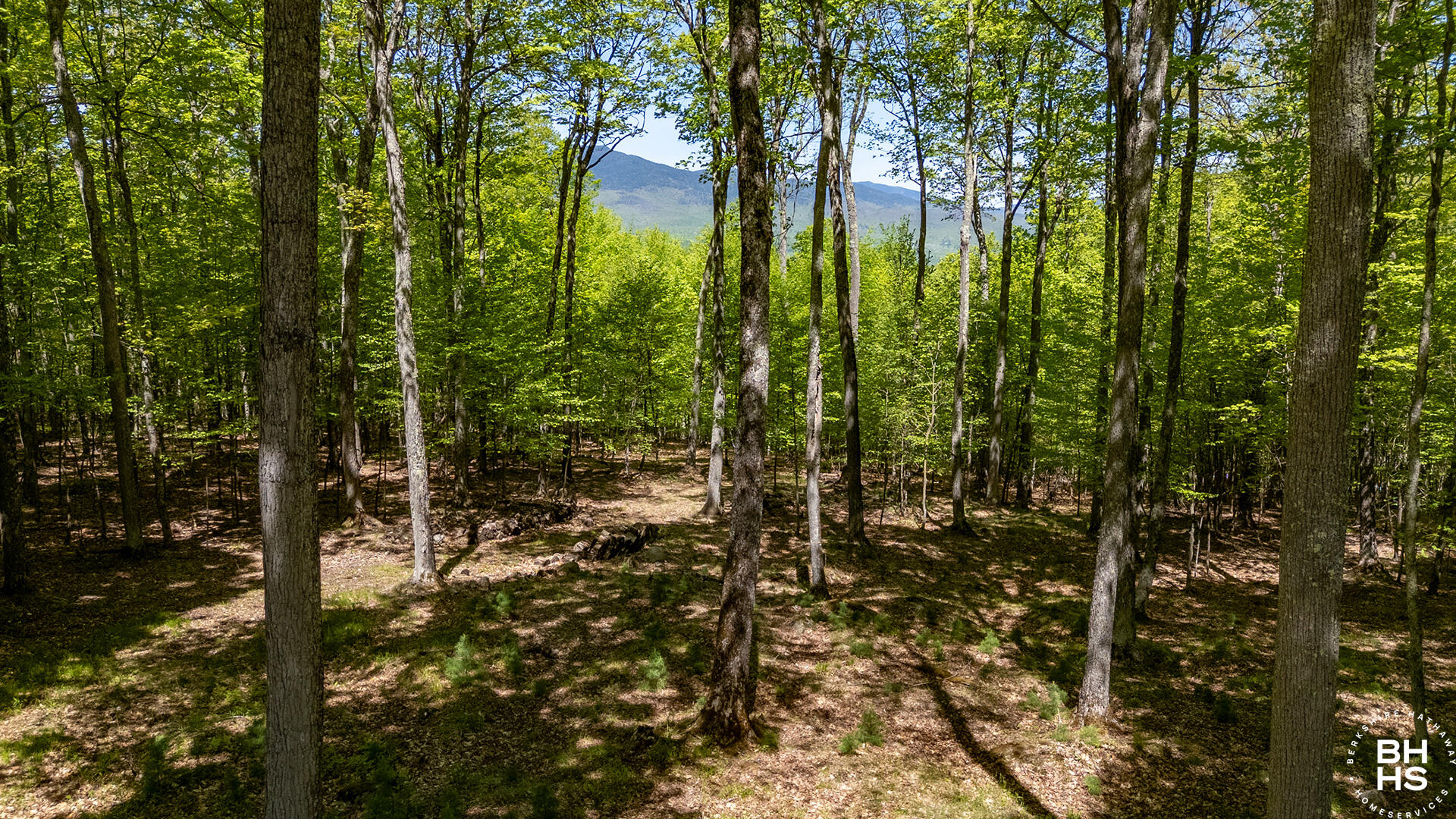 32 Corliss Point Way Keene NY 12942