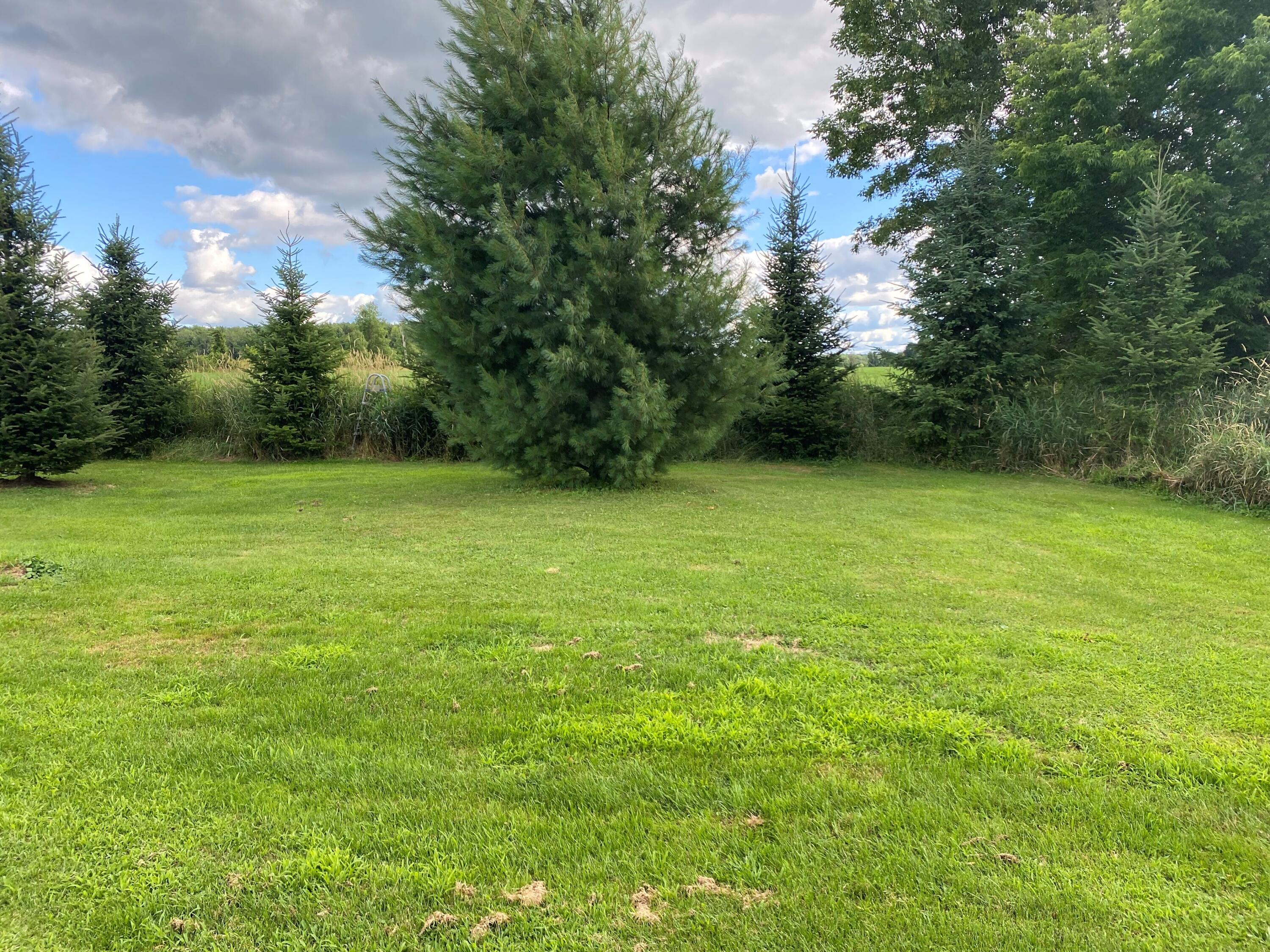 1822 State Route 11 North Bangor NY 12966