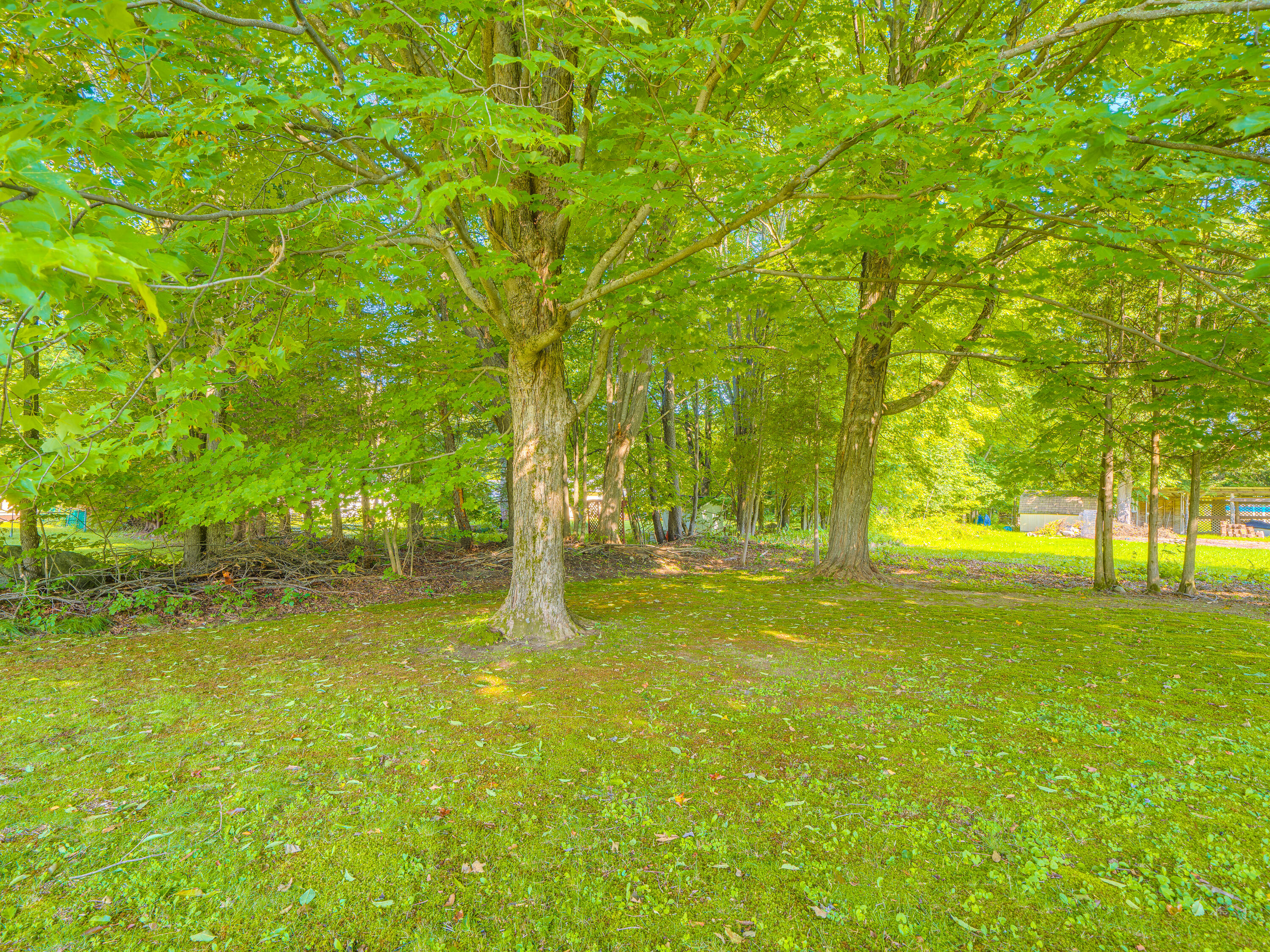 13 Victor Avenue Tupper Lake NY 12986