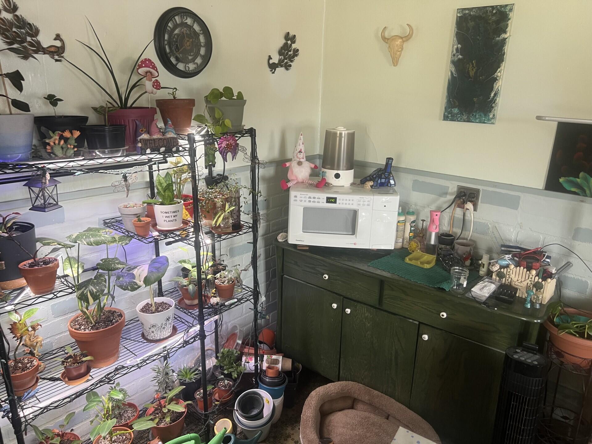 5273 U.s. 11 Burke NY 12917