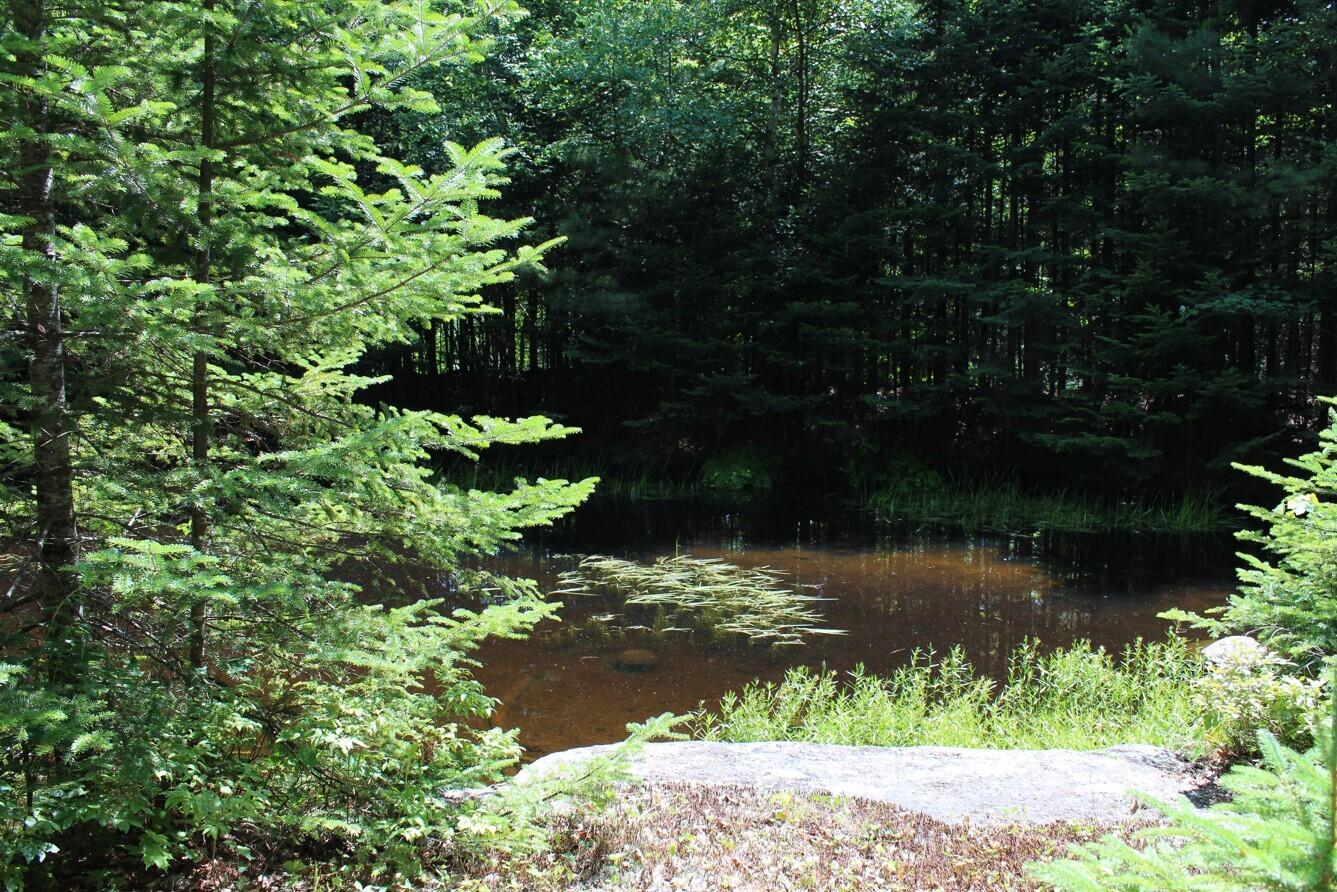 335 Parkerville Road Indian Lake NY 12842