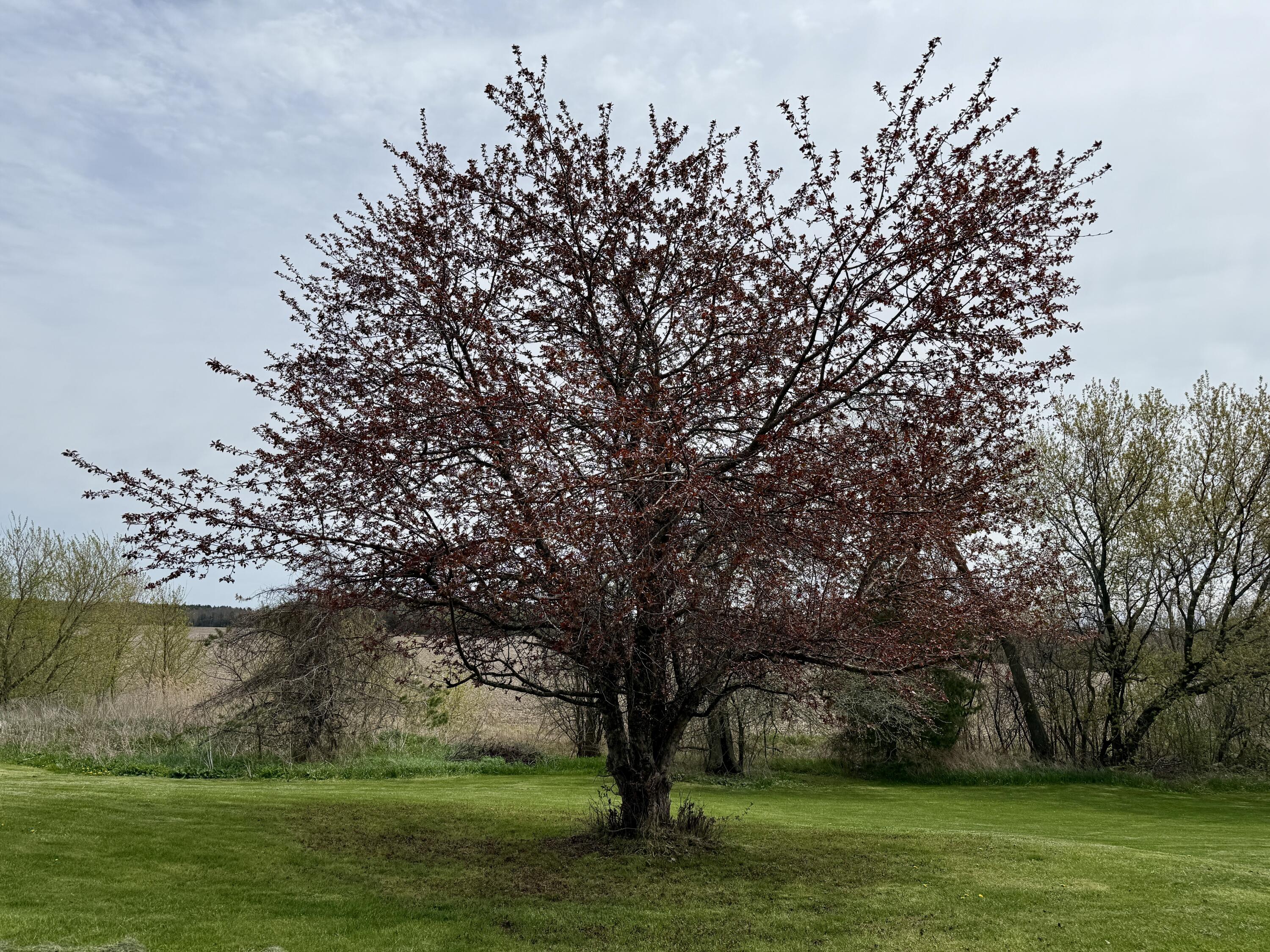 596 Dubois Road Champlain NY 12919
