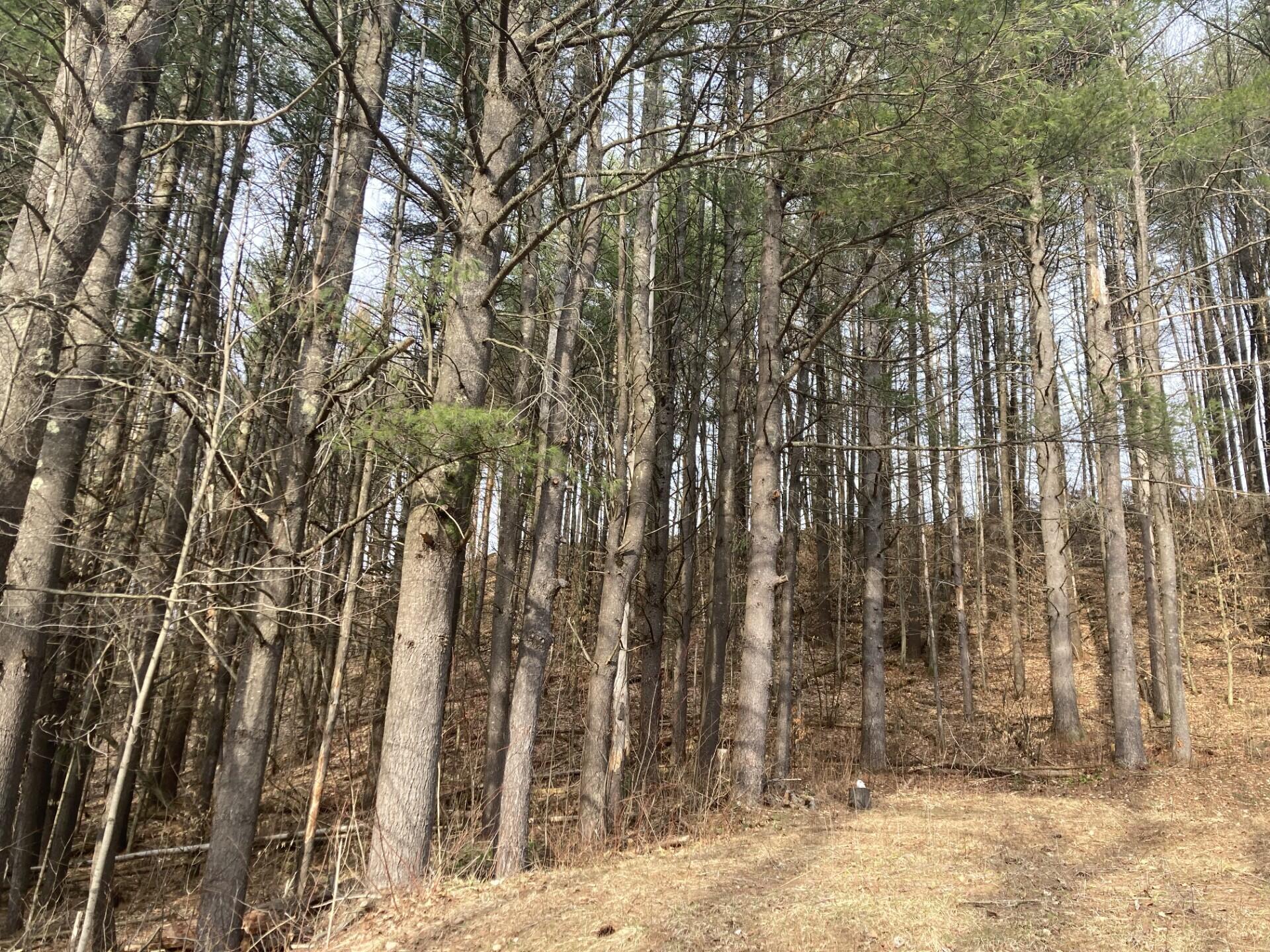 676 County Route 25 Malone NY 12953