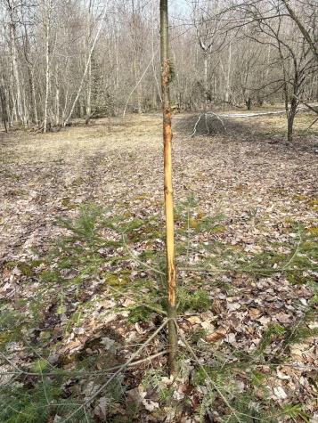 232 Quarry Road Burke NY 12917