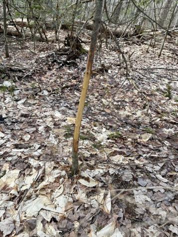 232 Quarry Road Burke NY 12917