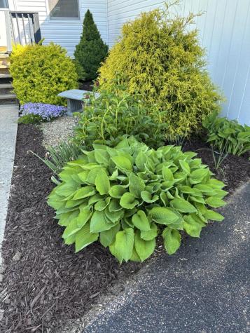 384 Burke Road Plattsburgh NY 12901