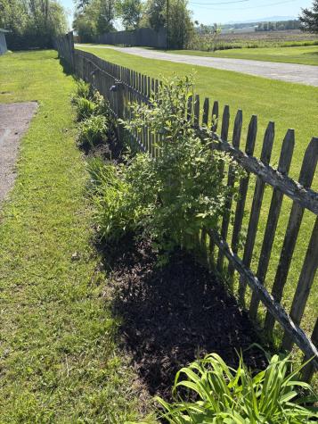 384 Burke Road Plattsburgh NY 12901