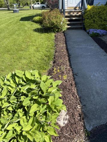 384 Burke Road Plattsburgh NY 12901