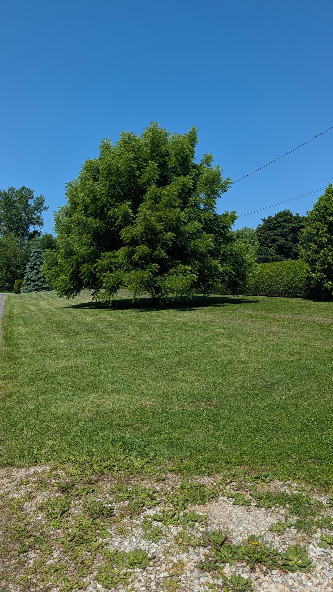 842 Point Au Roche Road Plattsburgh NY 12901