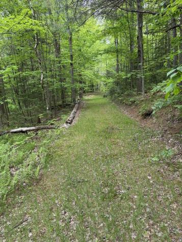 35 Shanley Road St. Regis Falls NY 12980