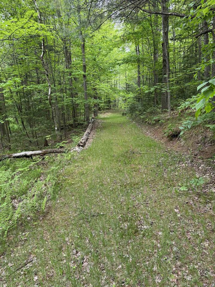 35 Shanley Road St. Regis Falls NY 12980