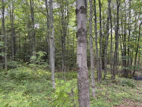 174 Rabideau Road Altona NY 12910