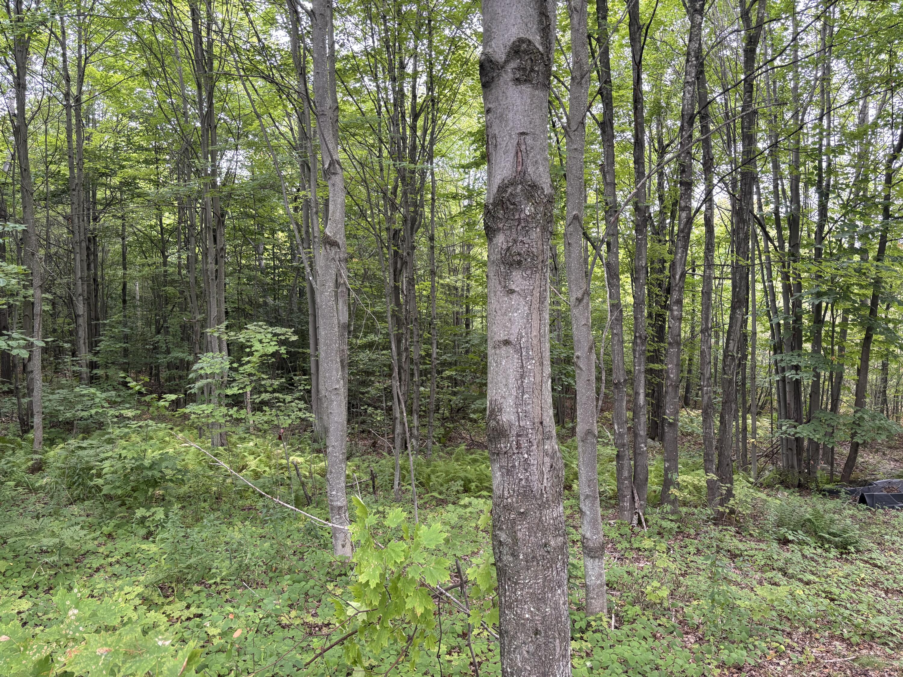 174 Rabideau Road Altona NY 12910