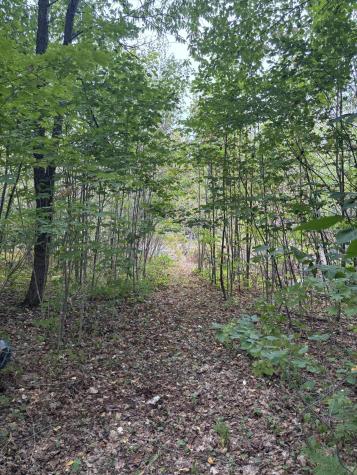 174 Rabideau Road Altona NY 12910