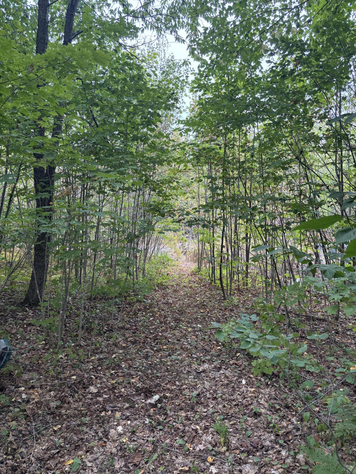 174 Rabideau Road Altona NY 12910