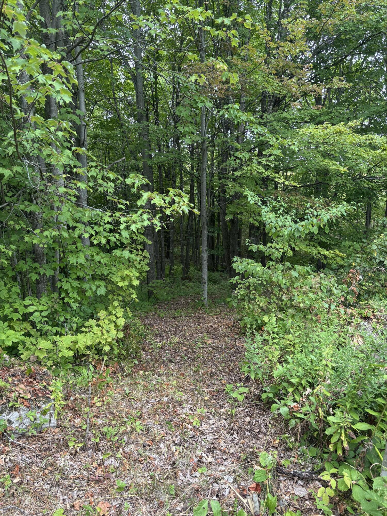 174 Rabideau Road Altona NY 12910