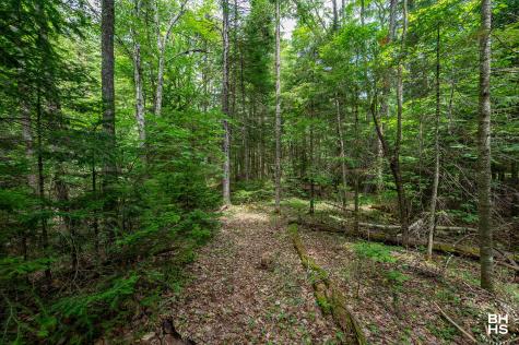 2292 Gillespie Drive Bloomingdale NY 12913