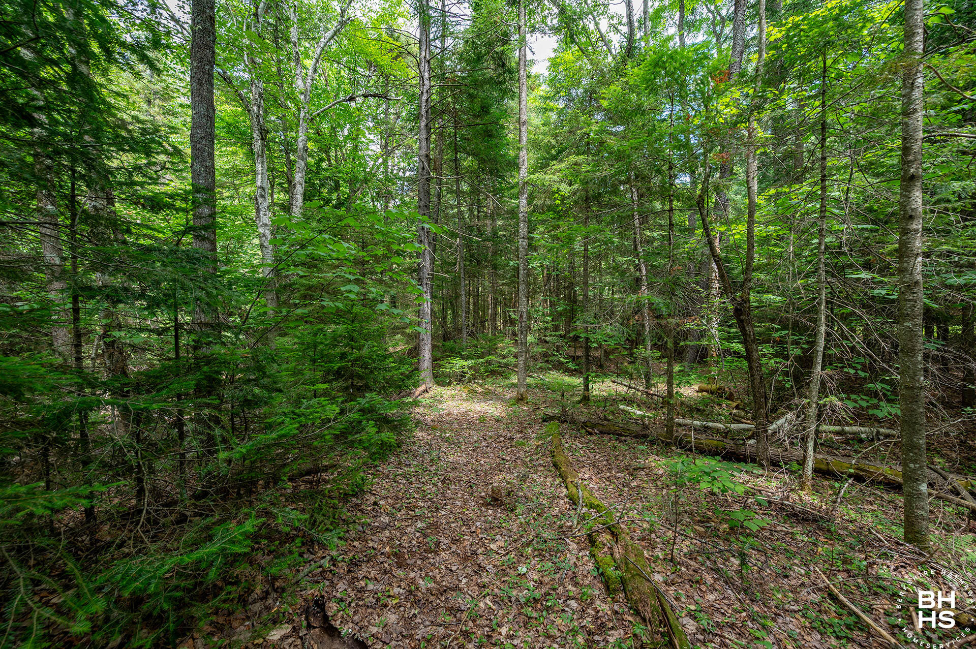 2292 Gillespie Drive Bloomingdale NY 12913