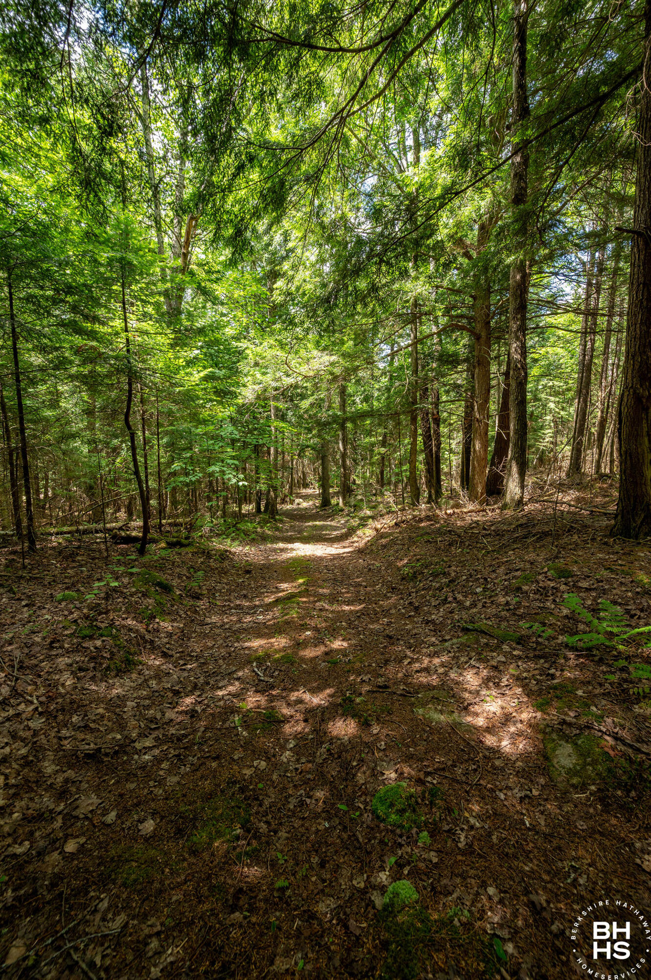 2292 Gillespie Drive Bloomingdale NY 12913