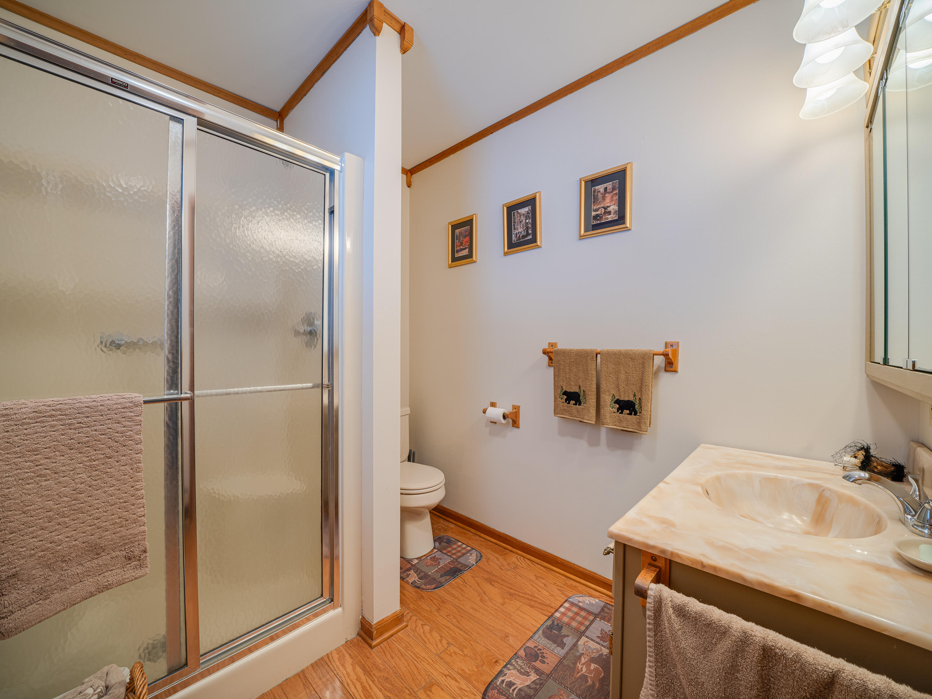 35 Steinfeldt Lane Long Lake NY 12847
