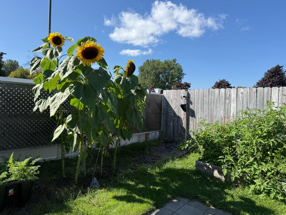 66 Bailey Avenue Plattsburgh NY 12901