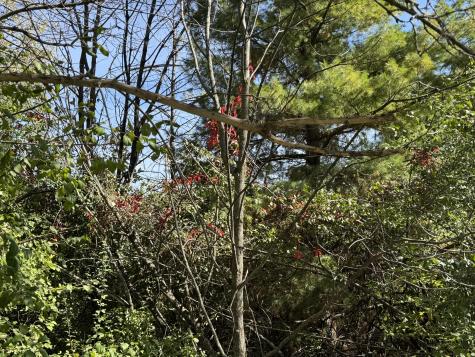 5 Crestview Drive Plattsburgh NY 12901