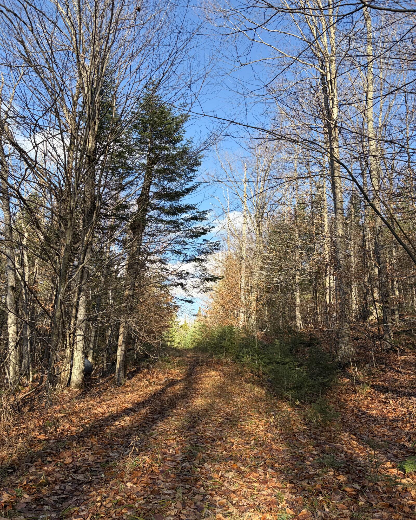 86 Jersey Drive Lake Placid NY 12946